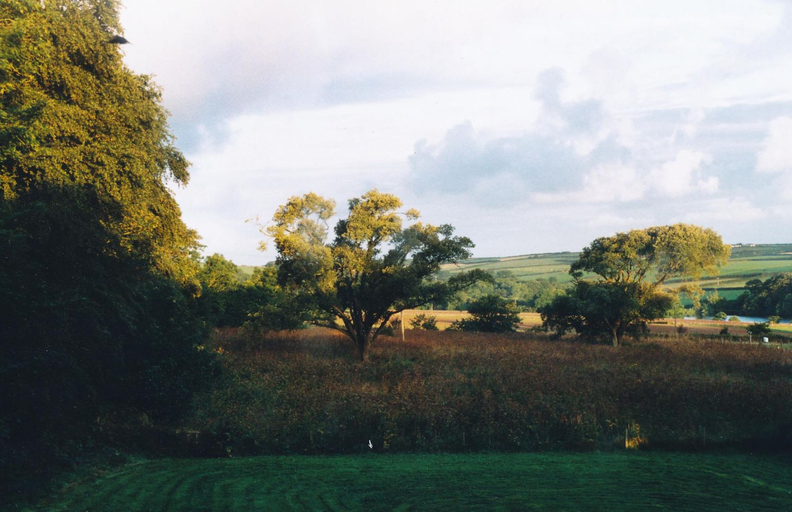 Holm Oaks Orielton South Pembs